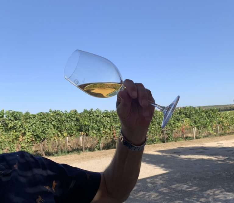 Vinsmaking på Piazza Navona