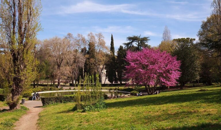 Roma i mars 2026 – Guide