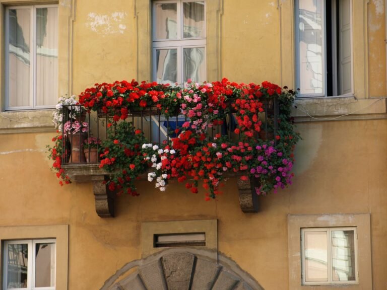 Nordmenn i Roma og Italia: Tall, utvikling og hvor de faktisk bor